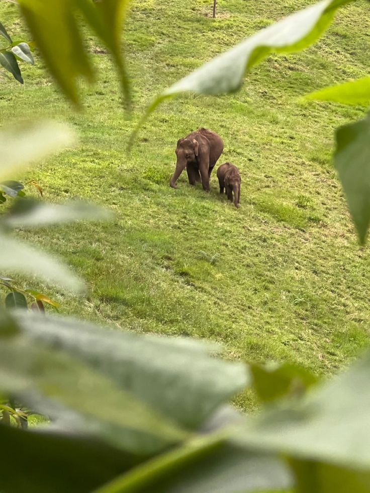 Full Day Munnar Excursion