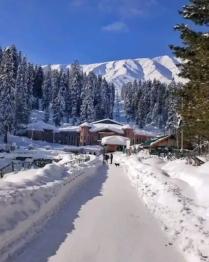 Drive from Srinagar to Gulmarg - Srinagar (60 km /