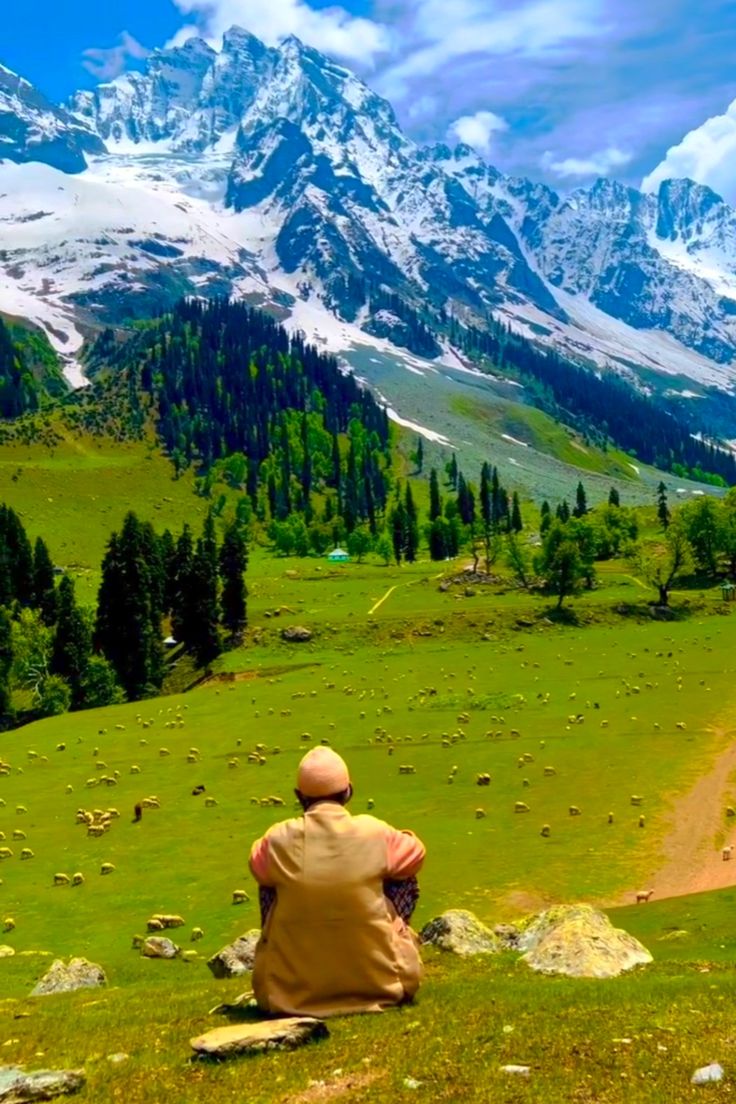 Drive from Srinagar to Pahalgam (3 Hours)