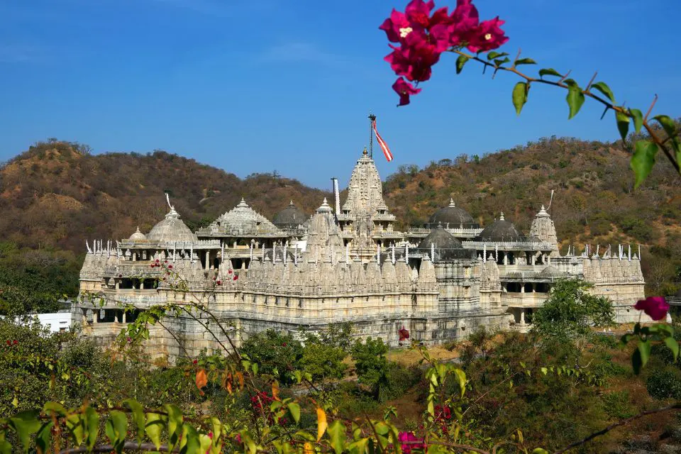 Arrival – Wildlife Safari &amp; Cultural Exploration