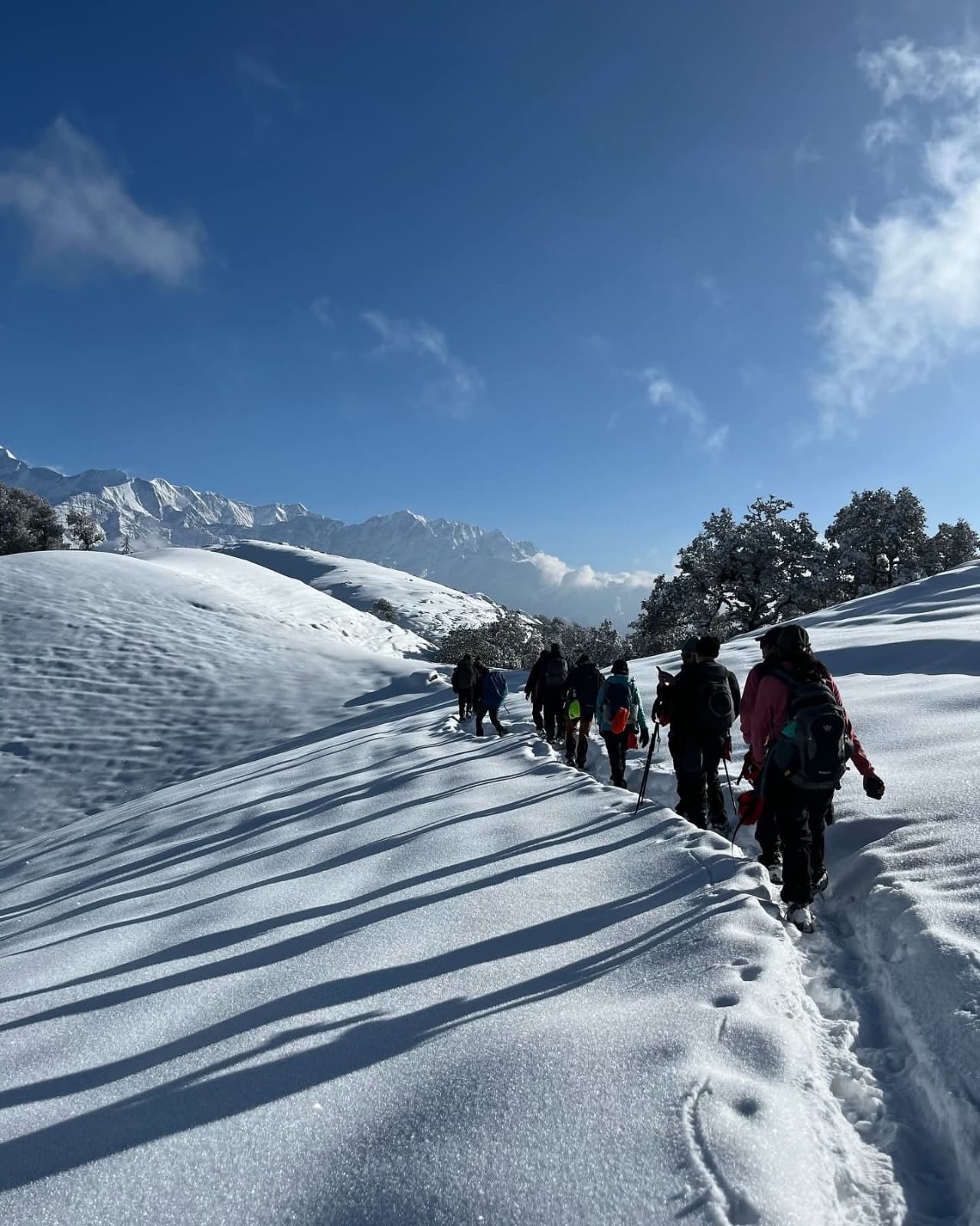 Gujreni to Tilandi | Forests to Meadows and Himalayan Views