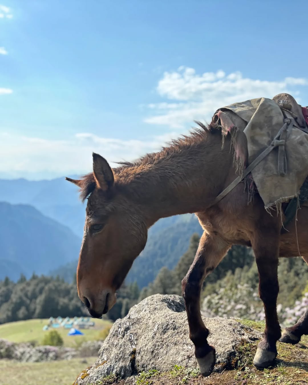 Downhill Trek from Biskeri Thach to Barshaini | Departure Day