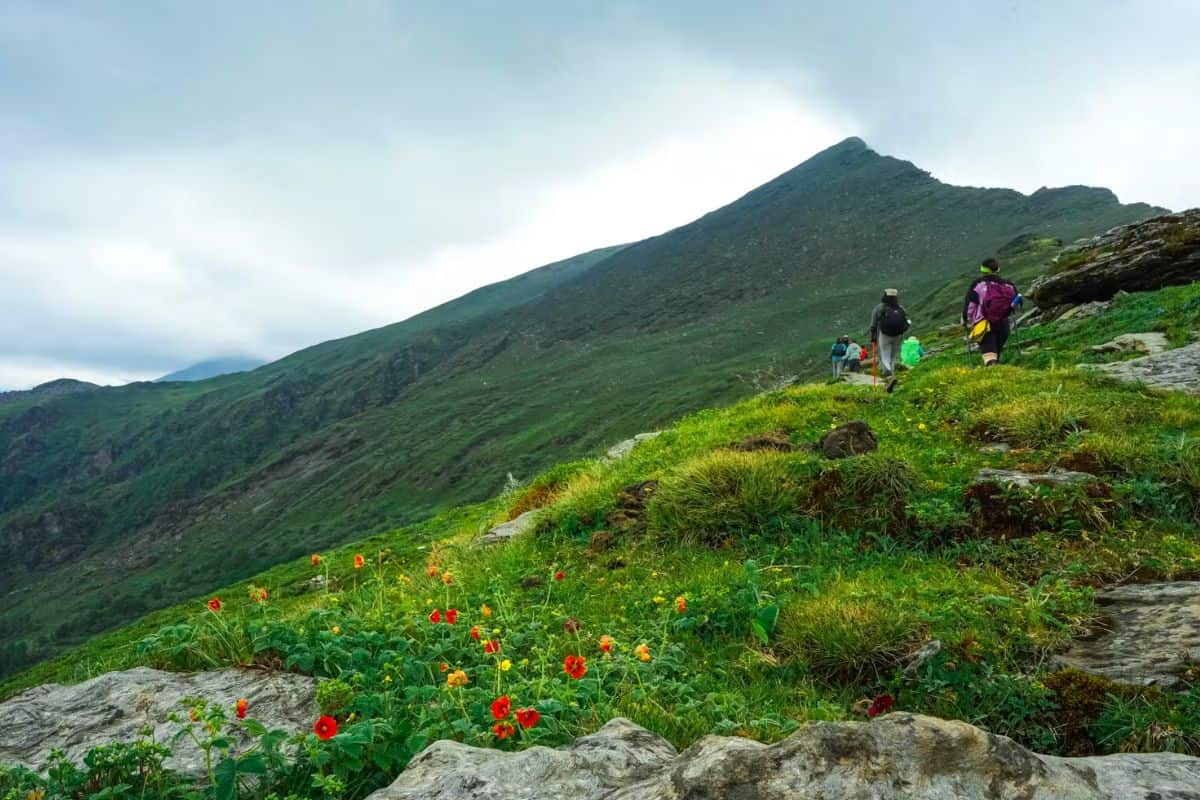 Bhoj Gadi to Pushtara Trek via Phulara Ridge