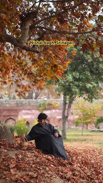 SRINAGAR 04 N + PAHALGAM 02 N TOUR PACKAGE image