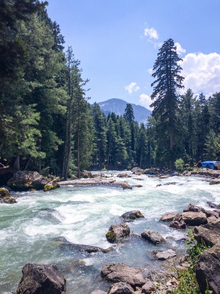 KATRA 02 + SRINGAR 03 + HOUSEBOAT 01 + PAHALGAM 02 + GULMARG 1 N  TOUR PACKAGE image