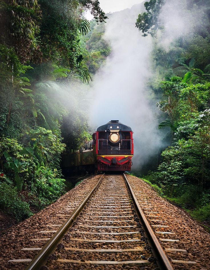 DARJEELING 03 N TOUR PACKAGE image