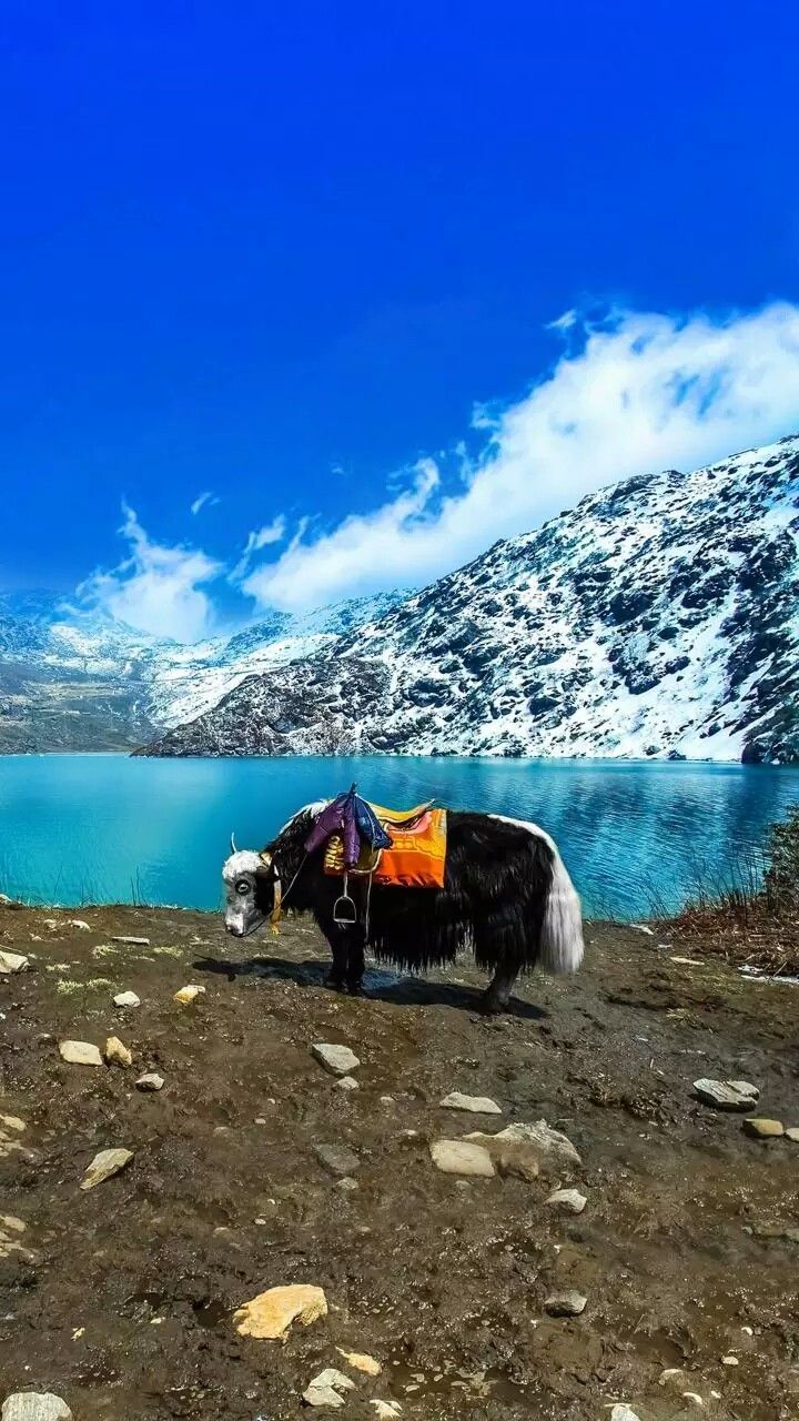 GANGTOK 02 N + PELLING 02 N TOUR PACKAGE image