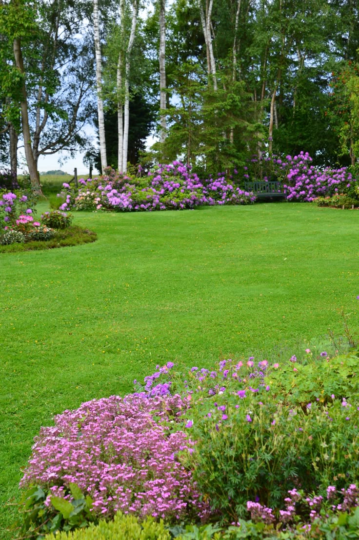 GANGTOK 02 + LACHEN 01 N + LACHUNG 01 N TOUR PACKAGE image