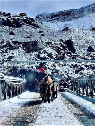 GANGTOK 03 N + LACHEN 1 N + LACHUNG 1 N TOUR PACKAGE image