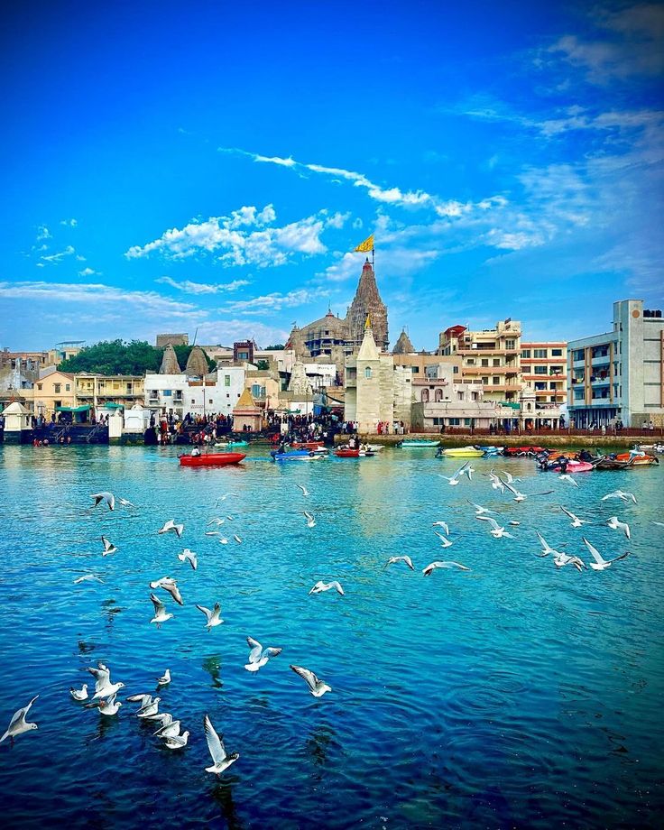 Beyt Dwarka Trip Package image