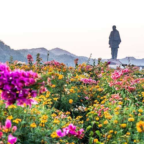 Statue of Unity image