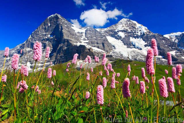 Valley of Flowers – A Stunning Himalayan Paradise of Blooming Beauty image