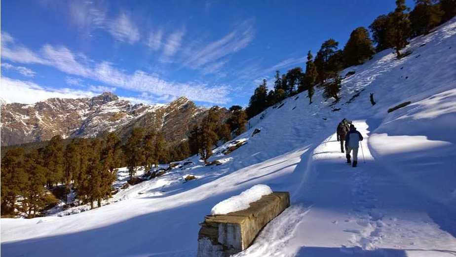 Chopta Tungnath Chandrashila Trek - Uttarakhand’s Best Short Trek image