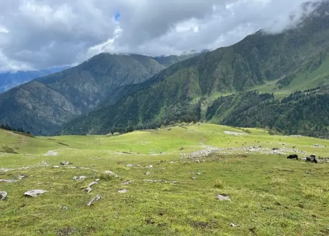 Phulara Ridge Trek - A Unique Himalayan Ridge Walk in Uttarakhand image