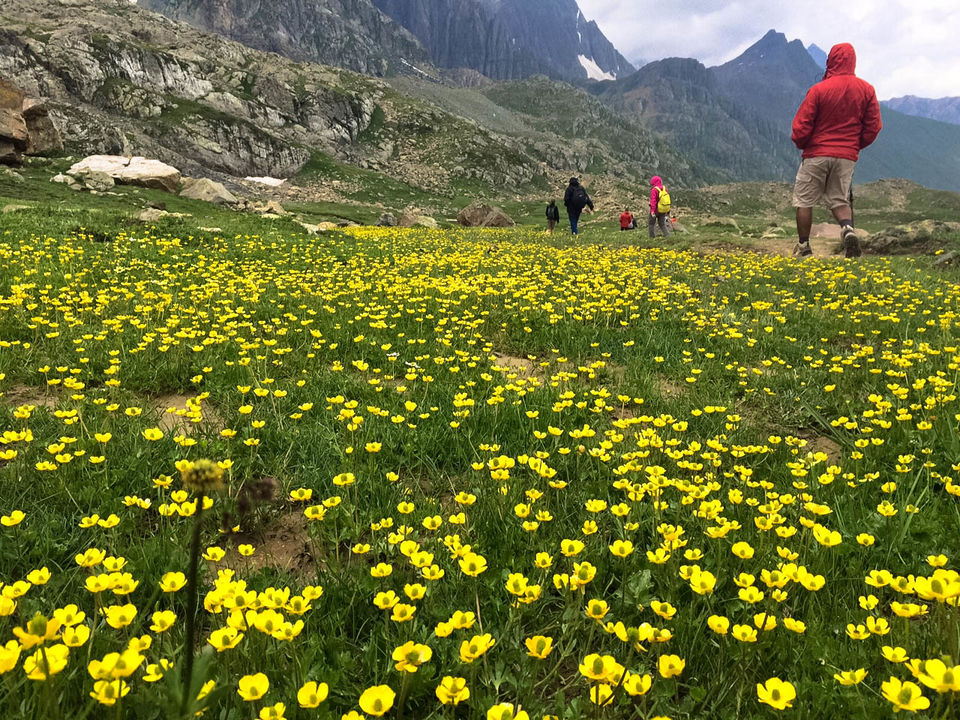 Kashmir Great Lakes Trek – A Journey Through Paradise image