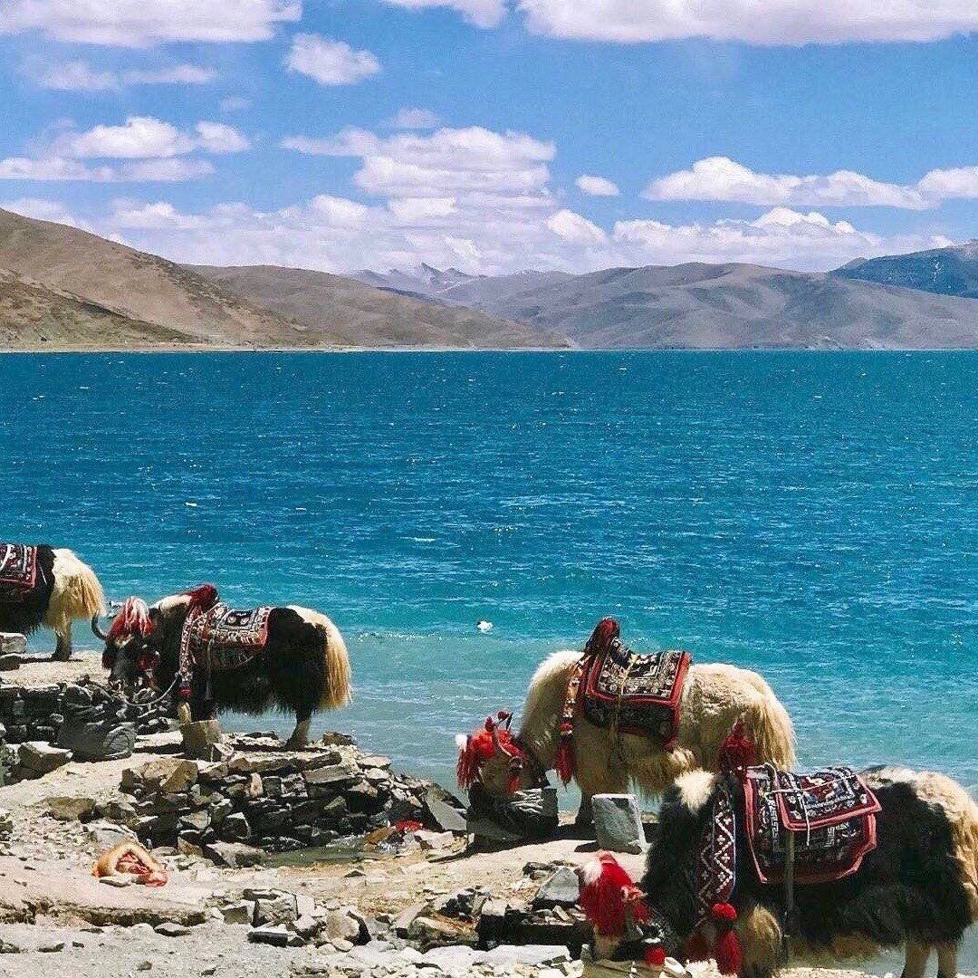 Gangtok 03 N + Lachen 01 N + Lachung 01 N + Pelling 02 N + Darjeeling 02 N TOUR PACKAGE image