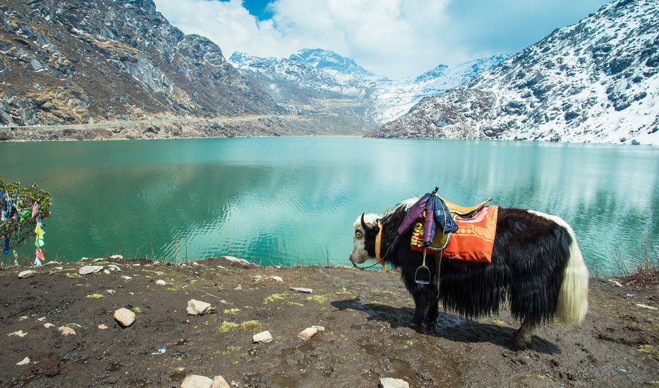 GANGTOK 03 N + PELLING 02 N + DARJEELING 02 N TOUR PACKAGE image