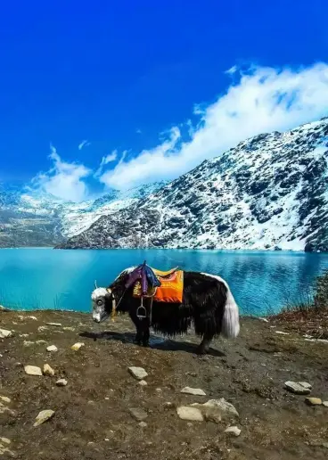 GANGTOK 03 N TOUR PACKAGE Event