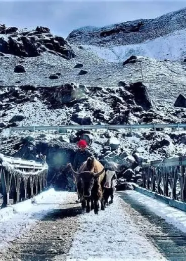 GANGTOK 03 N + LACHEN 1 N + LACHUNG 1 N TOUR PACKAGE Event