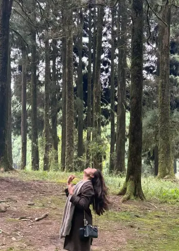 GANGTOK 02 N + PELLING 01 N + DARJEELING 02 N TOUR PACKAGE Event