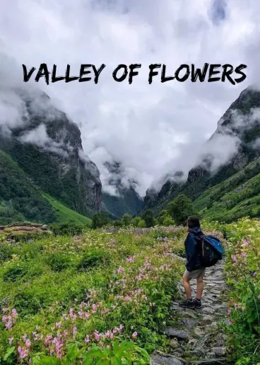 Valley of Flowers – A Stunning Himalayan Paradise of Blooming Beauty Event