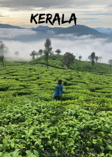 MUNNAR 02N + THEKKADY 01N + HOUSEBOAT 01N + KOVALAM 2N TOUR PACKAGE Event